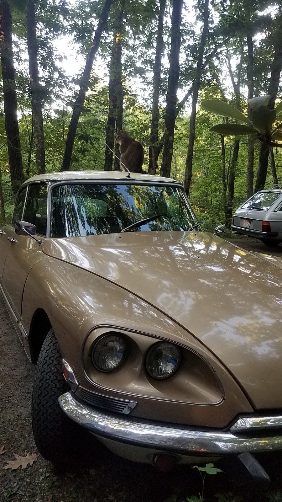 1971 DS 21, USA — Citroën Registry #1104